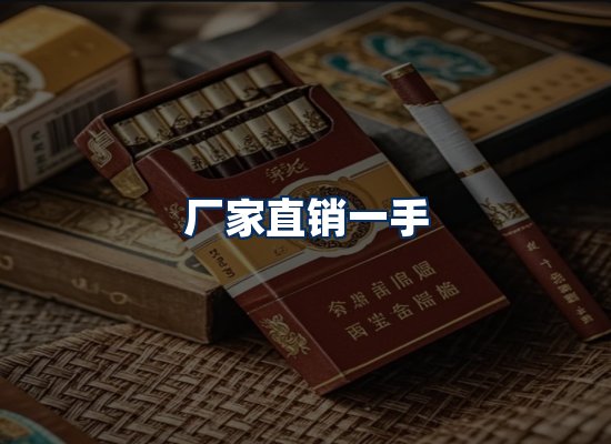 专业团队办公环境